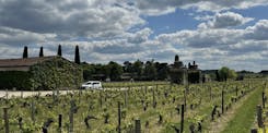 Smith Haut Lafitte, Primeurs 2023